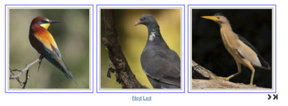 galeria-imagenes-joomla-1