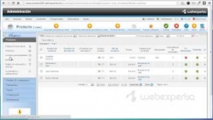 Cómo importar productos de Virtuemart 2.0 con CSVI